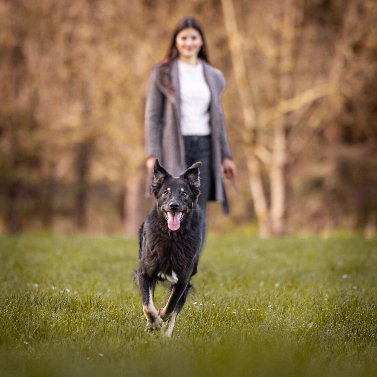 Frau und Hund